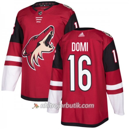 Män Ishockey Arizona Coyotes Tröja Max Domi 16 Adidas 2017-2018 Maroon Authentic